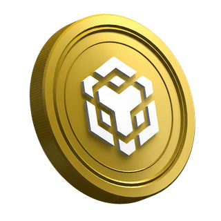 Página do guia para o trader principiante com a criptomoeda BNB